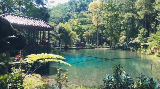 Rambut Monte, Wisata Telaga Biru dengan Ikan Dewa Abadi di Blitar