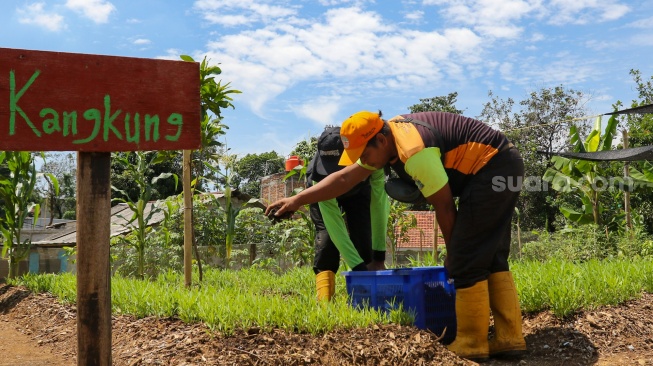 Petugas memberikan pupuk kompos ada tanaman di tempat penyaringan sampah di TB Simatupang, Jakarta, Jumat (12/1/2024). [Suara.com/Alfian Winanto]