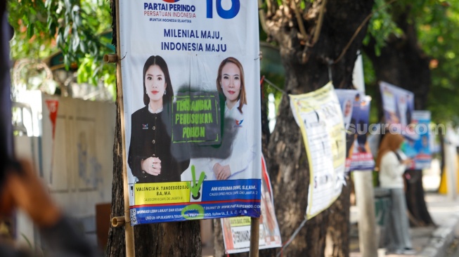 Sejumlah alat peraga kampanye (APK) yang digunakan dipaku di dalam pohon dilabeli oleh sekelompok orang dengan cat pilok di dalam Jalan Yos Sudarso, Ibukota Indonesia Utara, Hari Sabtu (13/1/2024). [Suara.com/Alfian Winanto]