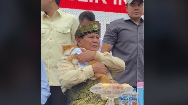 Definisi Cat Lovers, Prabowo Langsung Gendong Kucing Warga saat Kampanye di Batam