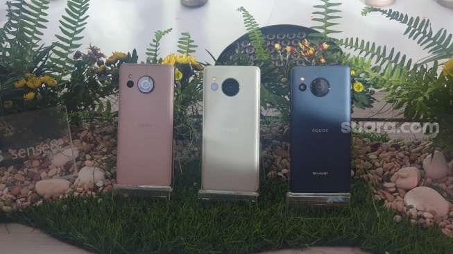 Sharp AQUOS sense8 resmi diboyong ke Indonesia, Jakarta, Selasa (16/1/2024). [Suara.com/Dythia Novianty]