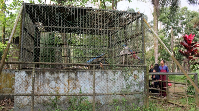 140 Wisatawan Kunjungi Medan Zoo di Momen Imlek