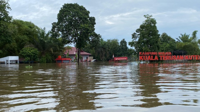 Cek Kondisi Banjir Riau, Kepala BNPB Sebut Luapan Air Juga Berasal dari Sumbar