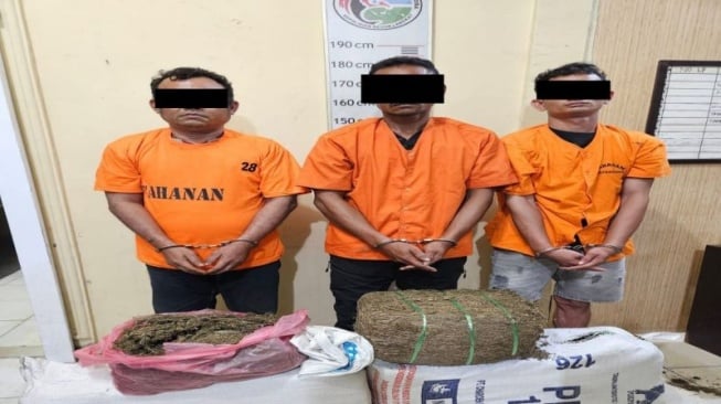 3 Pelaku Terlibat Peredaran 32 Kilogram Ganja Diringkus Polres Langkat