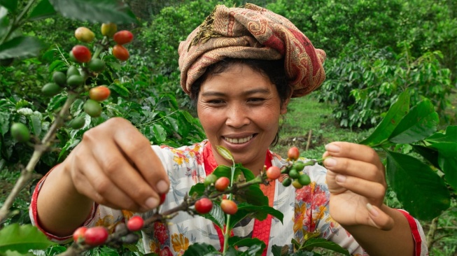 Dukung Petani Lokal, Tomoro Coffee Suguhkan Kopi dari Kintamani Bali