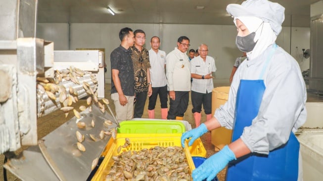 Pertama Kali Dilakukan, 20 Ton Udang Beku dari Jawa Tengah Diekspor ke Australia