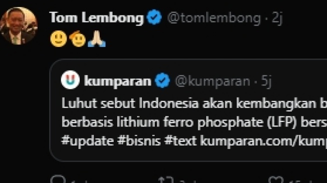 Reaksi Tom Lembong mendengar pernyataan Luhut tentang pengembangan elemen penyimpan daya LFP di dalam Indonesia (Twitter)