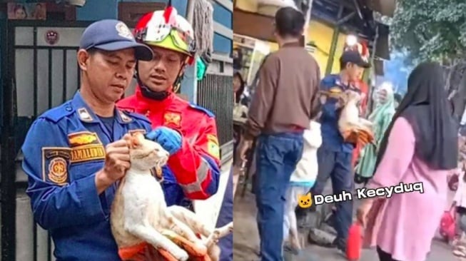 Sering Gigit dan Cakar Warga, Kucing Oren di Pakansari Dievakuasi Damkar