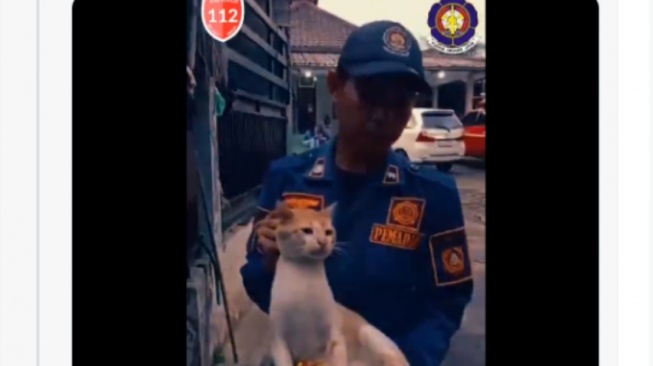 Terlalu Agresif hingga Lukai Warga, Kucing 'Oyen' Diamankan Damkar