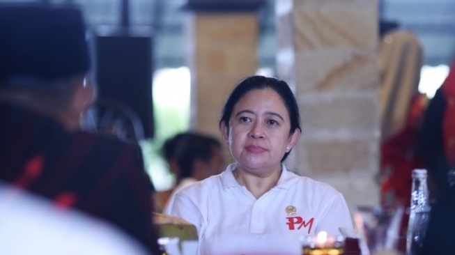 Ketua DPR RI, Puan Maharani. (Dok: DPR)