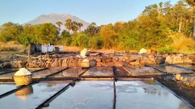 Musim Hujan Tiba, Petani Garam Baturinggit Beralih ke Bercocok Tanam