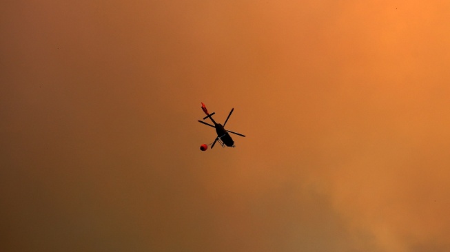 Seorang pria memadamkan kebakaran hutan yang melanda perbukitan di komune Quilpe, wilayah Valparaiso, Chili, Sabtu (3/2/2024). [Javier TORRES / AFP]