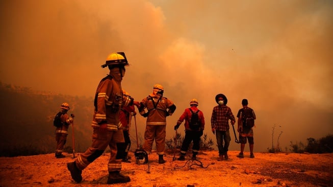 Petugas pemadam kebakaran bekerja di zona kebakaran hutan di perbukitan di Quilpe comune, wilayah Valparaiso, Chili, Sabtu (3/2/2024). [Javier TORRES / AFP]