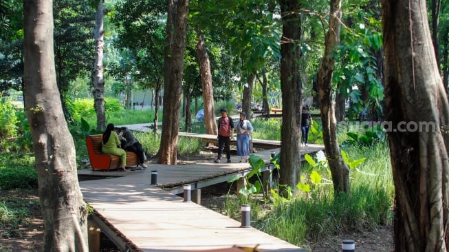 Taman Terdekat di Sintang: Bersantai dan Menikmati Alam