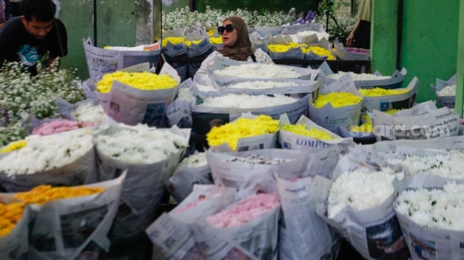 Pengunjung memilih bunga di Pasar Bunga Rawa Belong, Jakarta, Jumat (9/2/2024). [Suara.com/Alfian Winanto]