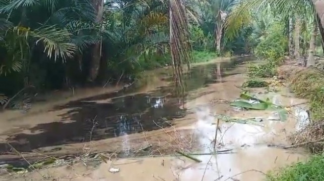 Sungai Cijoro Rangkasbitung Tercemar Limbah Oli, Diduga Dibuang Oknum Tak Bertanggung Jawab