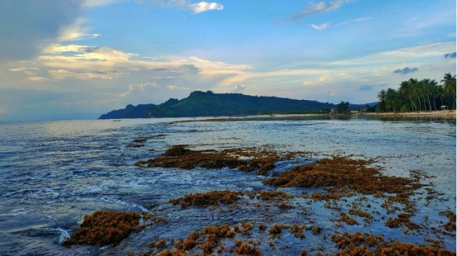 Eksotisme Pantai Klara, Suguhan Cantik Wisata Bahari di Lampung