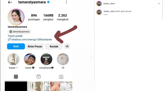 Tamara Tyasmara pertahankan donasi Dante (instagram)