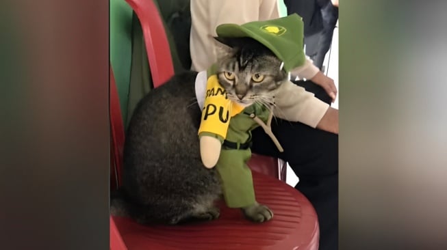 Bisa Rekrut Anggota Gini? Gerindra Goda Bobby Kertanegara Usai Viral Kucing Linmas Kawal TPS