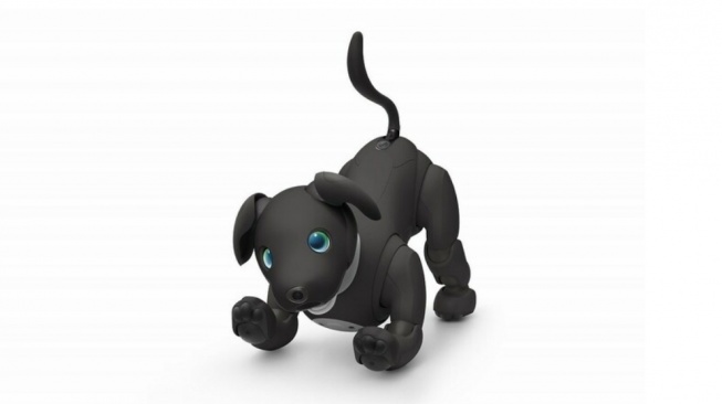 Sony meluncurkan robot anjing peliharaan dengan fasilitas kecerdasan buatan. (Sony)