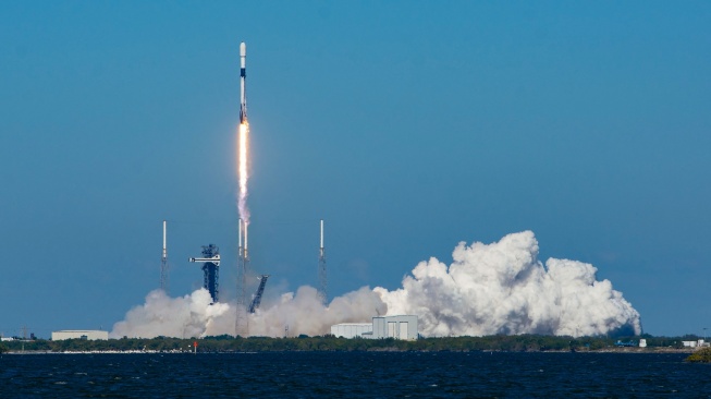 Roket Falcon 9 yang meluncur dari Cape Canaveral Florida sebagai wahana yang mengantarkan Satelit Merah Putih 2 menuju orbit, Selasa (20/2/2024) waktu setempat. (Dok. SpaceX/Telkom)
