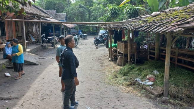 Seekor Anak Kambing Milik Warga di Sleman Ditemukan Mati Tanpa Kepala, Diduga Diserang Hewan Buas