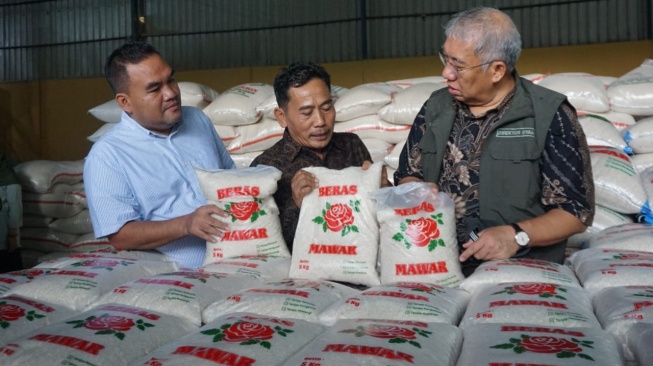 Bulog Tinjau Persawahan di Blora dan Grobogan yang Mulai Panen Padi