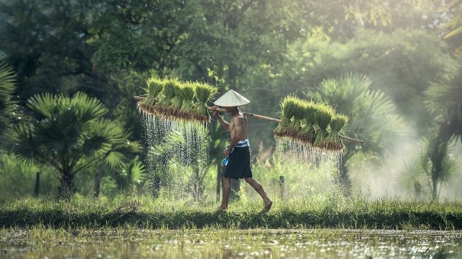 Ilustrasi petani [Foto oleh Pixabay]