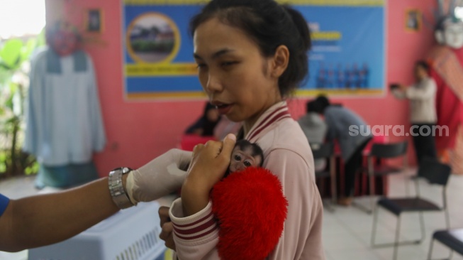 Petugas Suku Dinas Ketahanan Pangan, Kelautan dan Pertanian (Sudin KPKP) Jakarta Selatan menyuntikkan vaksin rabies ke hewan di RPTRA Ciganjur Berseri, Jakarta, Senin (26/2/2024). [Suara.com/Alfian Winanto]
