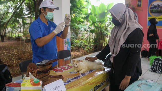 Petugas Suku Dinas Ketahanan Pangan, Kelautan dan Pertanian (Sudin KPKP) Jakarta Selatan menyuntikkan vaksin rabies ke hewan di RPTRA Ciganjur Berseri, Jakarta, Senin (26/2/2024). [Suara.com/Alfian Winanto]
