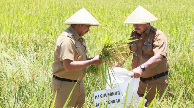 Jateng Mulai Panen Raya, Pj Gubernur Jateng Optimis Harga Beras Bisa Kembali Stabil