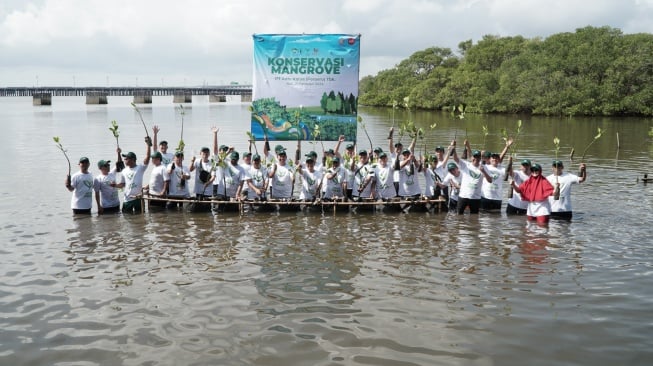 Langkah Nyata Pelestarian Lingkungan dengan Menanam 16.000 Bibit Mangrove