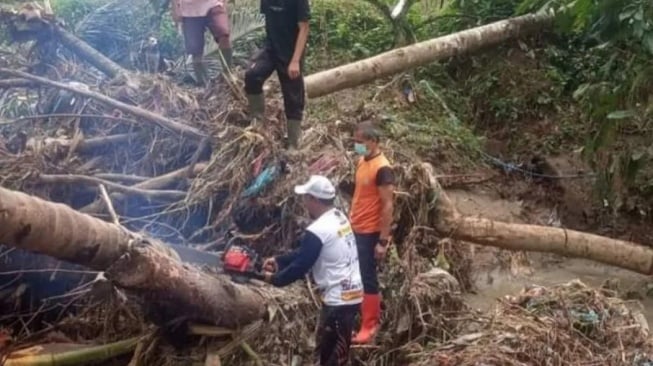 Hujan Angin Terjang Padang, 6 Pohon Tumbang Timpa Rumah Warga