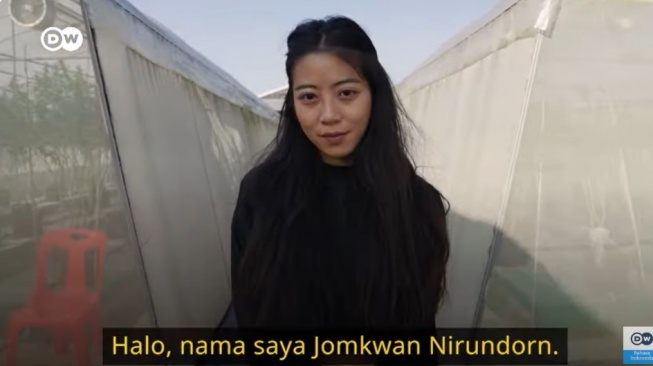 Cerita Jomkwan Nirundorn: Pelopor Pertanian Tanaman Ganja yang Bantu Ekonomi Warga Thailand