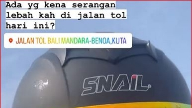 Viral, Serangan Lebah Sempat Ganggu Pengendara di Tol Bali Mandara