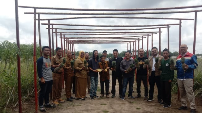 Perta-Samtan Gas Bantu Agrowisata Nanas Prabumulih Ciptakan Ekonomi Sirkular