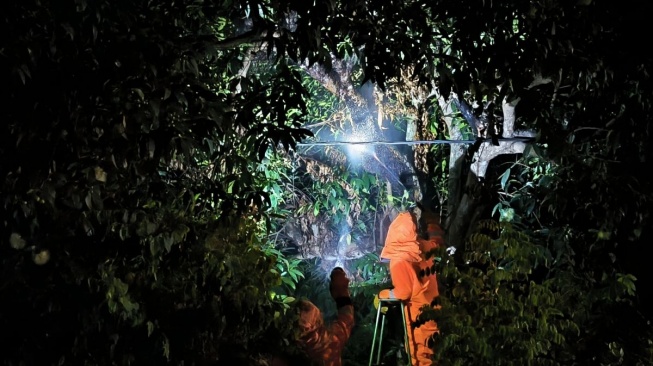 Mengganggu Warga, Sarang Tawon di Iringmulyo Metro Dimusnahkan