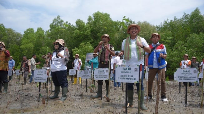 Pertamina Rehabilitasi Mangrove di Nusa Tenggara Timur