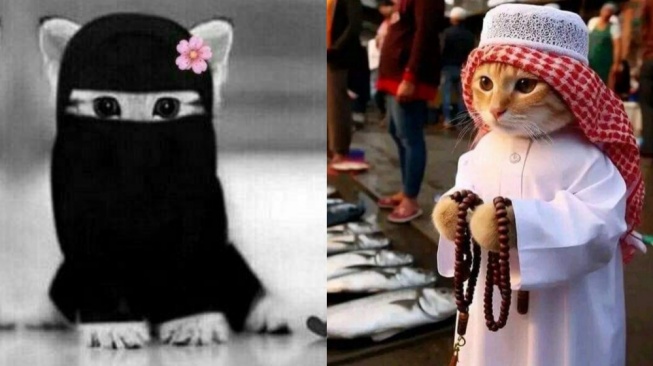 25 Foto PP Kucing Ramadhan 2024 Lucu: Cosplay Pak Ustaz hingga Berhijab