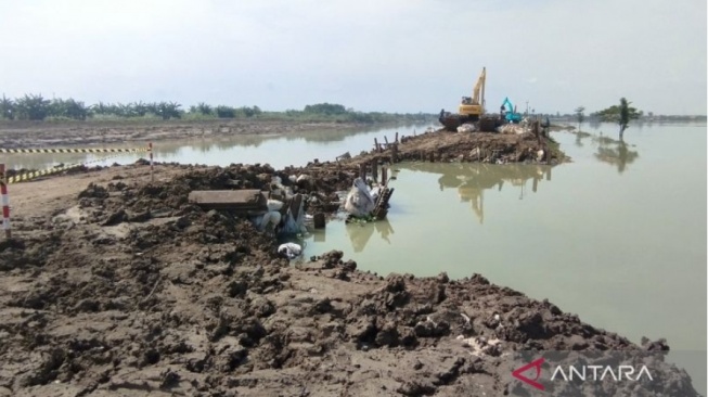 Jebol dan Bikin Banjir, Tanggul Sungai di Demak Berhasil Diperbaiki, Ini Penampakannya