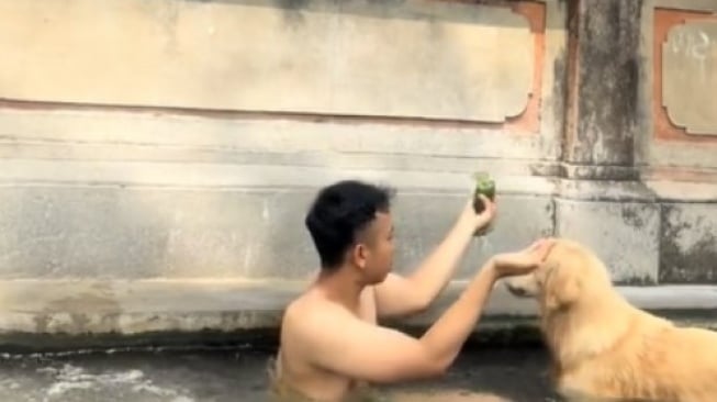 Bak Sultan, Anjing Ini Keramas Pakai Shampo Mahal