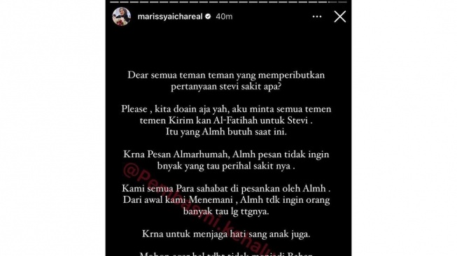 komentar Marissya Icha soal Stevie Agnecya (Instagram/@pembasmi.kehaluan.reall)