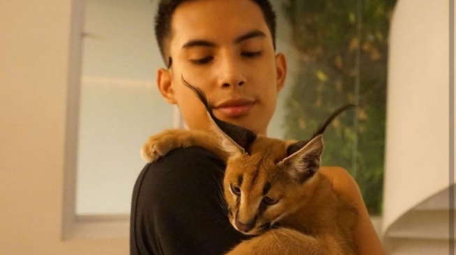 Pembelaan Okin Usai Dituding Telantarkan Kucing Caracal Miliknya yang Tak Terurus