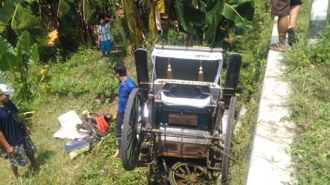 Bawa Delman di Bantul, Agus Harimurti justru Jatuh ke Parit Sedalam 3 Meter, Begini Kronologinya