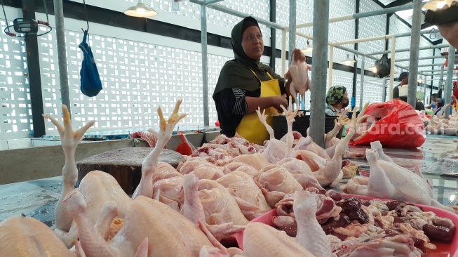 Harga Ayam Potong di Balikpapan Menggila, Tembus Rp 70 Ribu per Ekor!