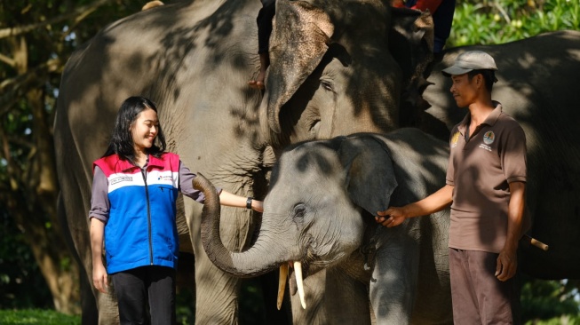 Sinergi Jaga Ekosistem Gajah, PHR Raih Penghargaan Bergengsi Internasional