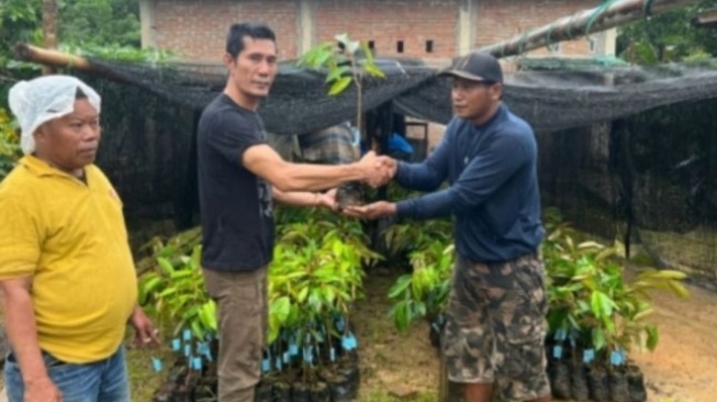 Cegah Longsor! Dinas Lingkungan Hidup Sulawesi Barat Tanam Seribu Pohon Durian