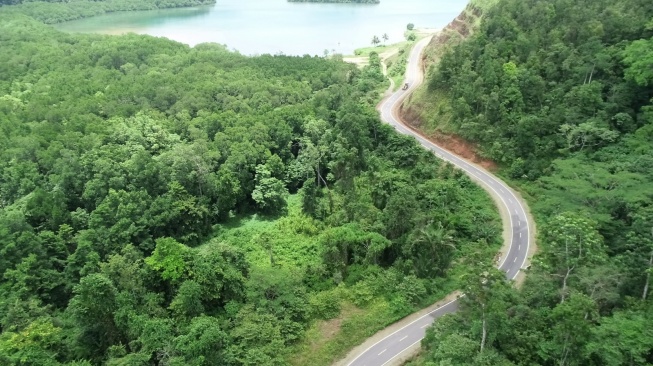 Dukung Pemerataan Infrastruktur di Ujung Timur Indonesia, WSKT Selesaikan Proyek Jalan Kwatisore  Muri Lebih Cepat