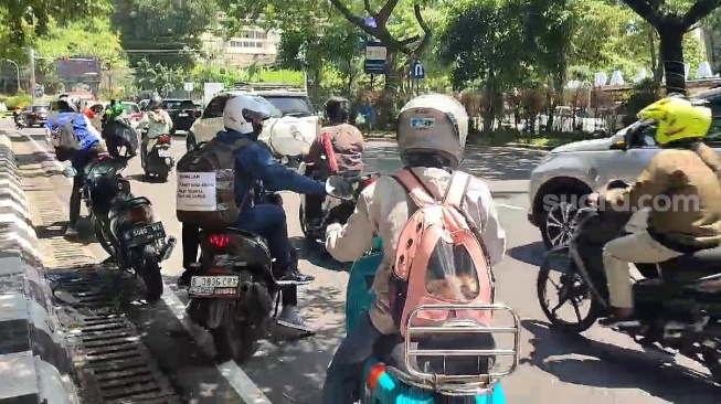 Demi Sang Buah Hati, Pemudik dari Tangerang Ajak Kucing Kesayangan Mudik ke Semarang