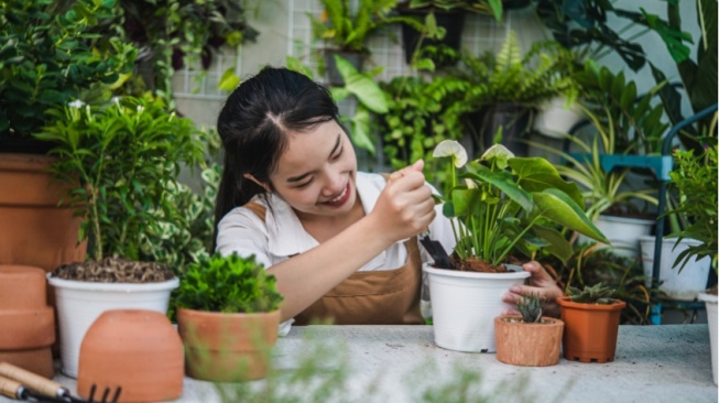 Mulai Sustainable Living dari Mana? 5 Kebiasaan Ini Bisa Kamu Terapkan